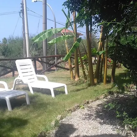 Pantaleo 3* 리카디